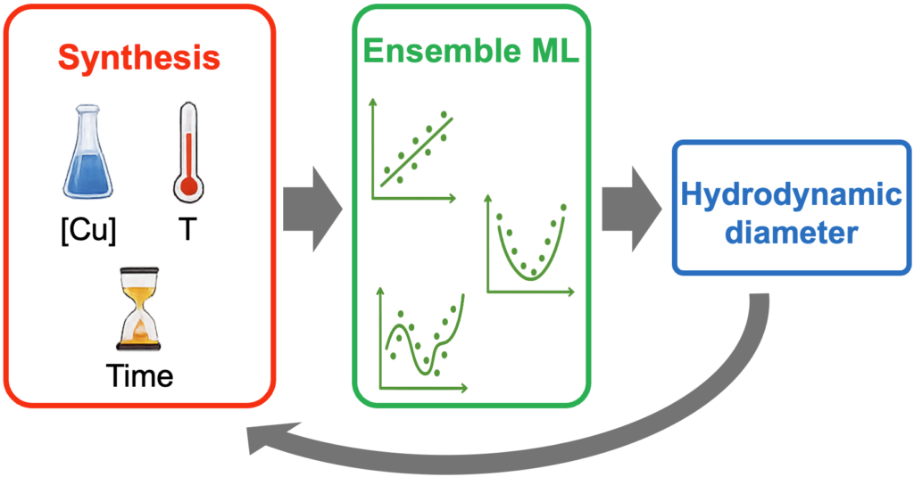 Graphical abstract Machine Learning small datasets applied to Cu NPs